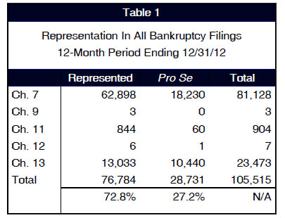 Representation In all Bankruptcy Filings 12-Month Period Ending 12/31/12