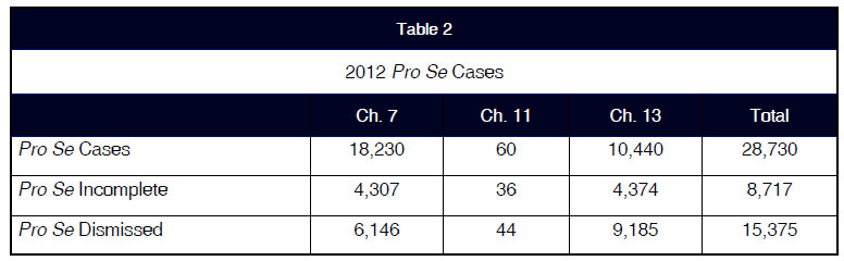 2012 Pro Se Cases
