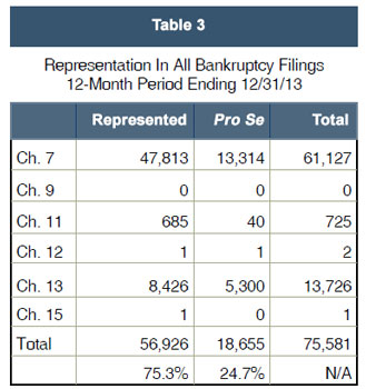 Representation In All Bankruptcy Filings 12-Month Period Ending 12/31/13