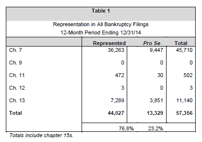 Representation in All Bankruptcy Filings 12-Month Period